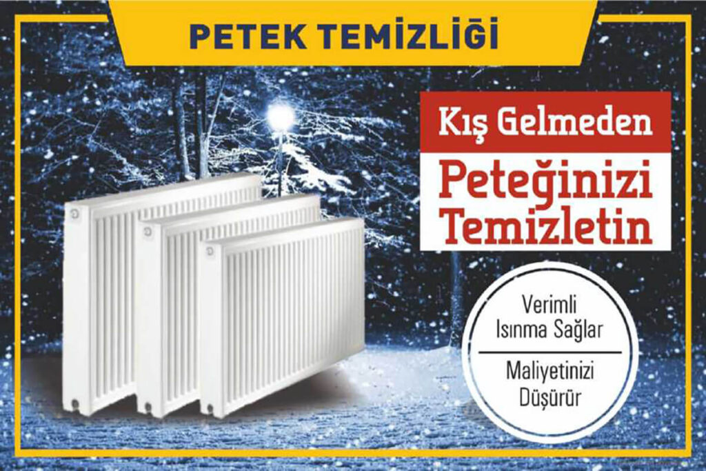 petek temizleme aydın